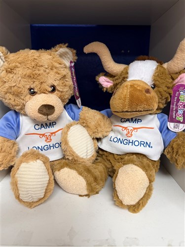 Custom Teddy or Longhorn