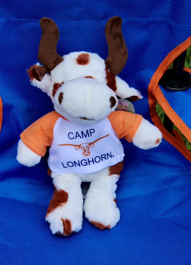 longhorn plush