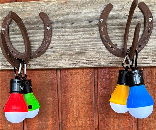 Carabiner Light Bulb