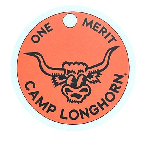 One Merit Sticker