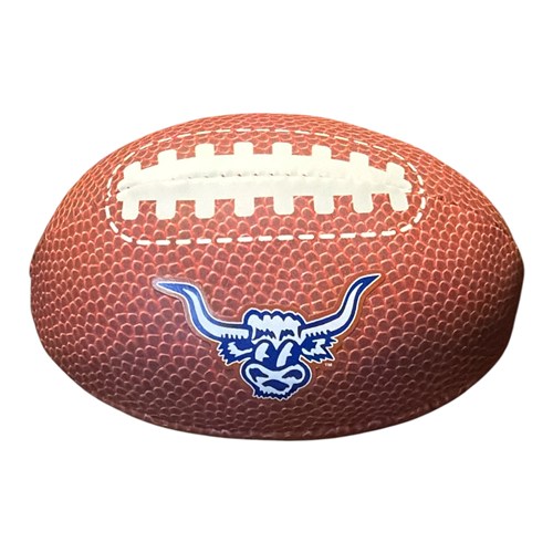 Micro Plush Football