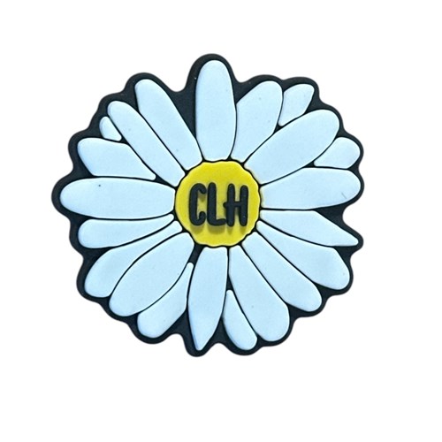 Daisy Jibbitz