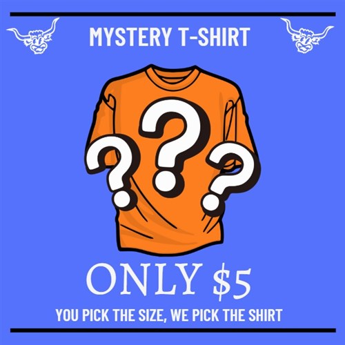 Mystery Shirt – A Surprise in Every Size!