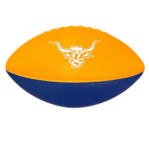 Custom 2-tone Mini Foam Football