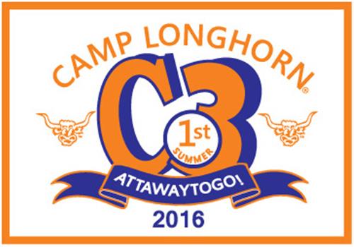 2016 C3 Trunk sticker