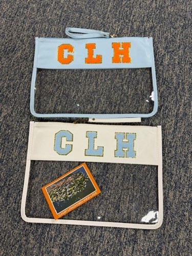 Giant Clear Nylon Wristlet Bag