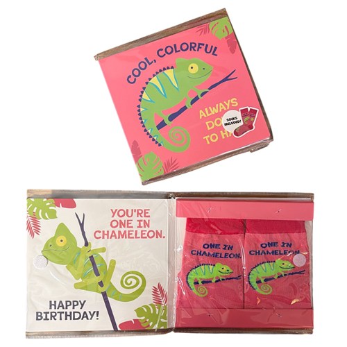 Birthday Card & Socks - Chameleon