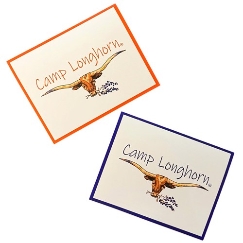 Longhorn Bluebonnet Notecards