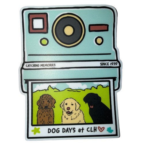 Dog Days at CLH Polaroid Sticker
