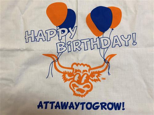 Charlie Attawaytogrow Birthday Pillowcase