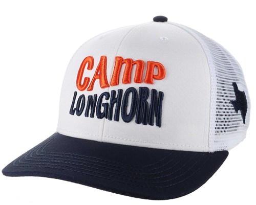 MPS Camp Longhorn TX