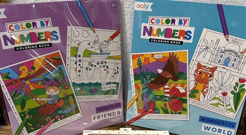 Fun and Games:  Color By Number Books