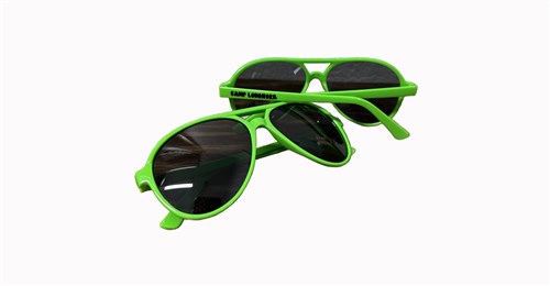 Frog Day:  Frog Day Sunglasses